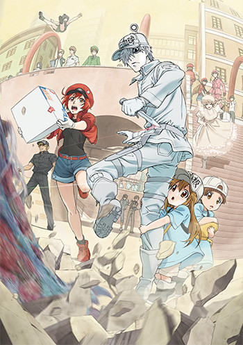 アニメディスカバリー（新）